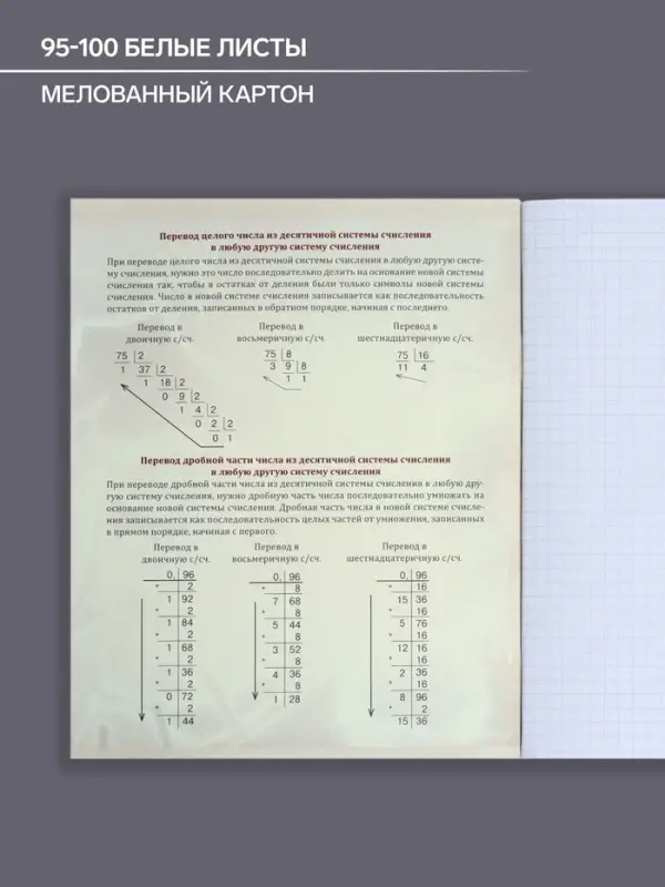 Тетрадь предметная 48 листов в клетку Calligrata, &laquo;Мрамор светлый. Информатика&raquo;, обложка мелованный картон