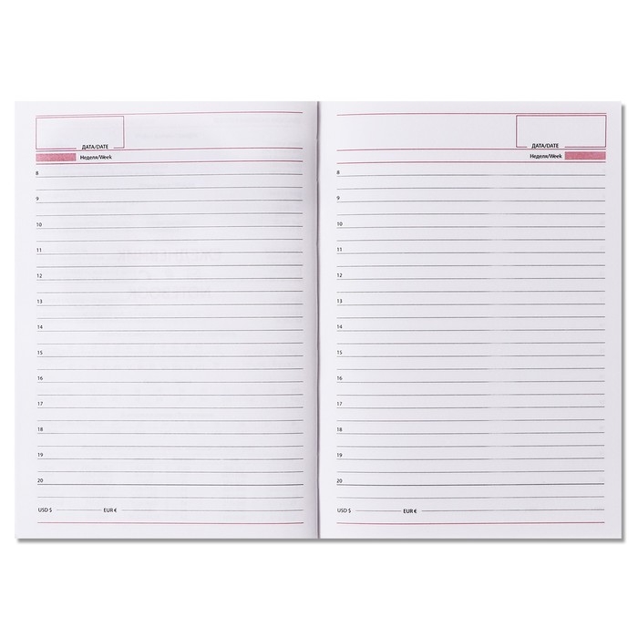 Ежедневник недатированный А5, 160 листов "Вивелла", обложка искусственная кожа, перфорация углов, чёрный