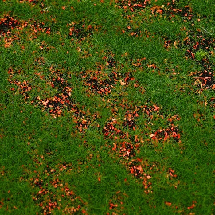 Мох искусственный, декоративный, полотно 1 &times; 1 м, зелёный, с коричневым ямами, Greengo