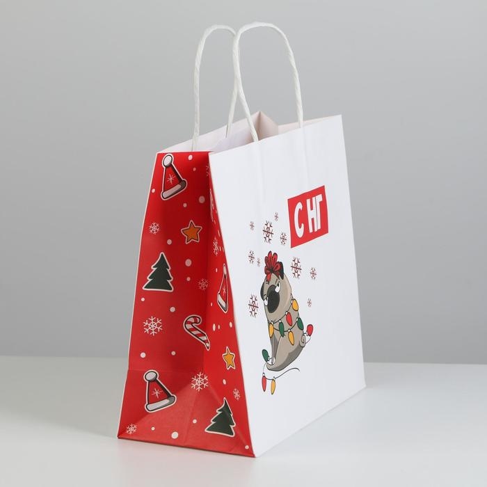 Пакет подарочный новогодний &laquo;А вас также&raquo;, 22 х 22 х 11 см, Новый год