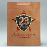 Пакет подарочный крафтовый вертикальный, упаковка, &laquo;С 23 февраля&raquo;, L 40 х 31 х 11.5 см