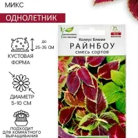 Семена цветов Колеус блюме "Райнбоу" смесь сортов, ц/п, 0,05 г