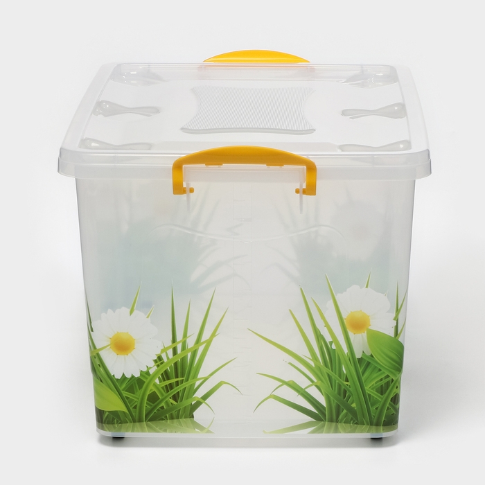 Контейнер для хранения с крышкой &laquo;Hide box. Трава&raquo;, 50 л, 60&times;38&times;31 см, на колёсиках, МИКС