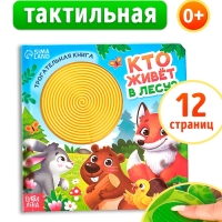 Трогательная книга "Кто живёт в лесу?"