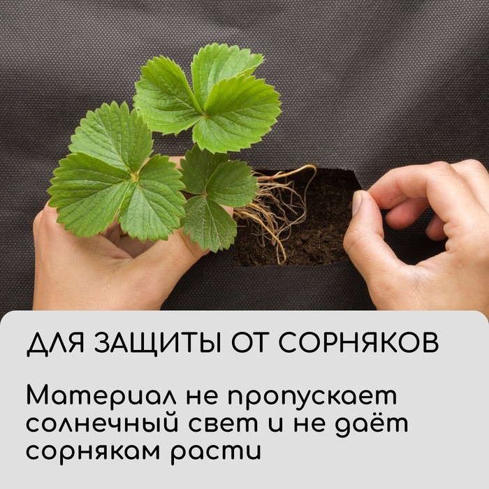 Материал для ландшафтных работ, 10 &times; 1,6 м, плотность 90 г/м&sup2;, спанбонд с УФ-стабилизатором, чёрный, Greengo, Эконом 30%