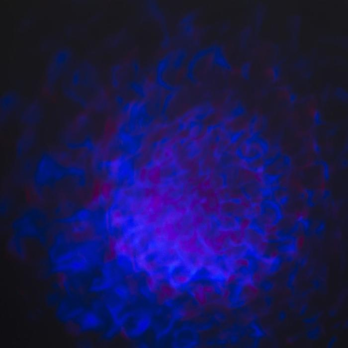 Световой прибор &laquo;Хрустальный шар&raquo; 5 см, поворотное крепление, пульт ДУ, свечение RGB, 220 В