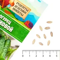 Семена Огурец "Бочковой", 0,2 г