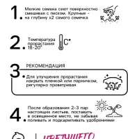 Семена цветов однолетние Бальзамин Том Самб 0,1 г