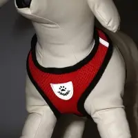 Комплект амуниции с мягкой шлейкой и светоотражающей нашивкой, M, ОШ 26, ОГ 36-44, красный