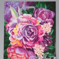 Пакет "Жанет, полиэтиленовый с вырубной ручкой 50х60 см, 100 мкм