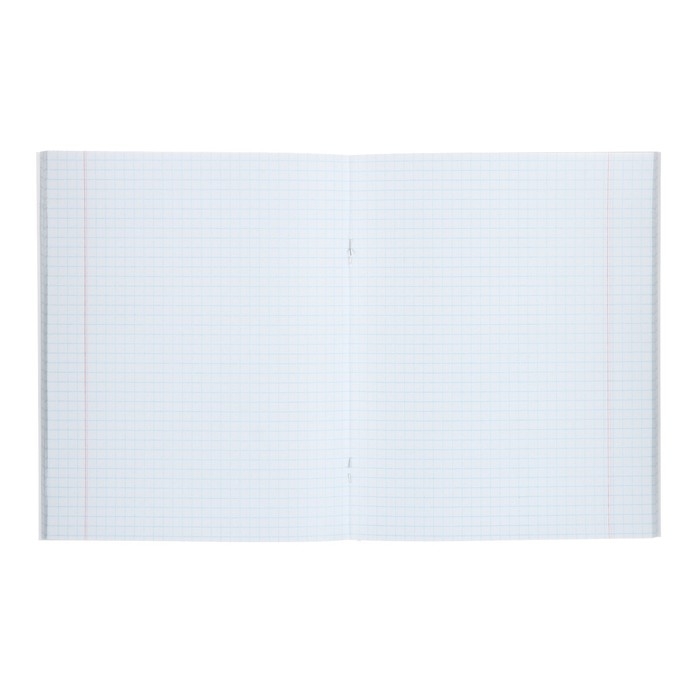 Комплект тетрадей из 5 штук, 48 листов в клетку Calligrata "Neon", обложка мелованный картон, УФ-лак, блок офсет