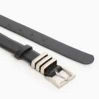 Ремень жен 05-01-02-01, Март2508, 2,8*0,3*110 см, без винта, пряж металл, 1 прокол,