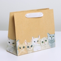 Пакет подарочный крафтовый, упаковка, &laquo;Тебе&raquo;, 22 х 17,5 х 8 см