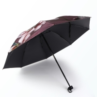 Зонт механический &laquo;Флора&raquo;, эпонж, 4 сложения, 8 спиц, R = 48/55 см, D = 110 см, цвет МИКС