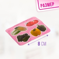 Набор посудки &laquo;Маленькая помощница&raquo;, МИКС