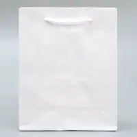 Пакет подарочный ламинированный, упаковка, &laquo;Белый&raquo;, S 12 х 15 х 5.5 см