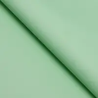 Пленка для цветов тонированная, матовая, светло - зелёная, 57&times;57 см &plusmn;5% см, 65 мкм