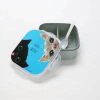 Ланч - бокс с секциями и ложкой &laquo;Коты&raquo;, 17,8 х 17,8 х 7 см