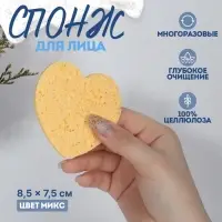 Спонж для умывания &laquo;Сердце&raquo;, 8.5&times;7.5 см, МИКС