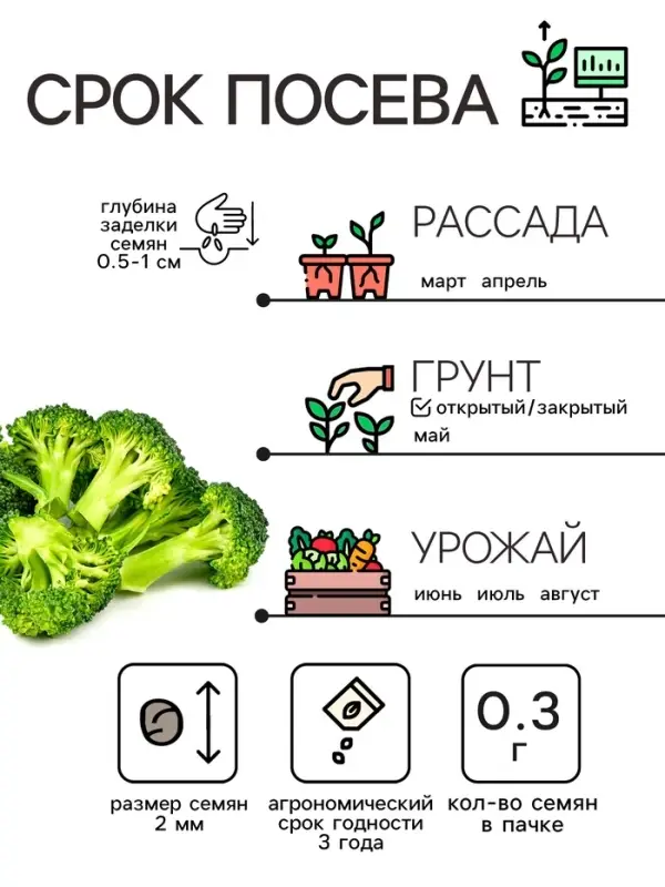 Семена Капуста брокколи "Тонус", 0,3 г