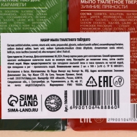 Подарочный набор URAL LAB &laquo;Тёплой зимы&raquo;, мыло для рук кусковое, 2х100 г, Новый Год