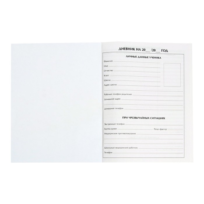 Дневник школьный для 1-11 классов, &laquo;Девочка со скейтом&raquo;, твёрдая обложка 7БЦ, глянцевая ламинация, 40 листов