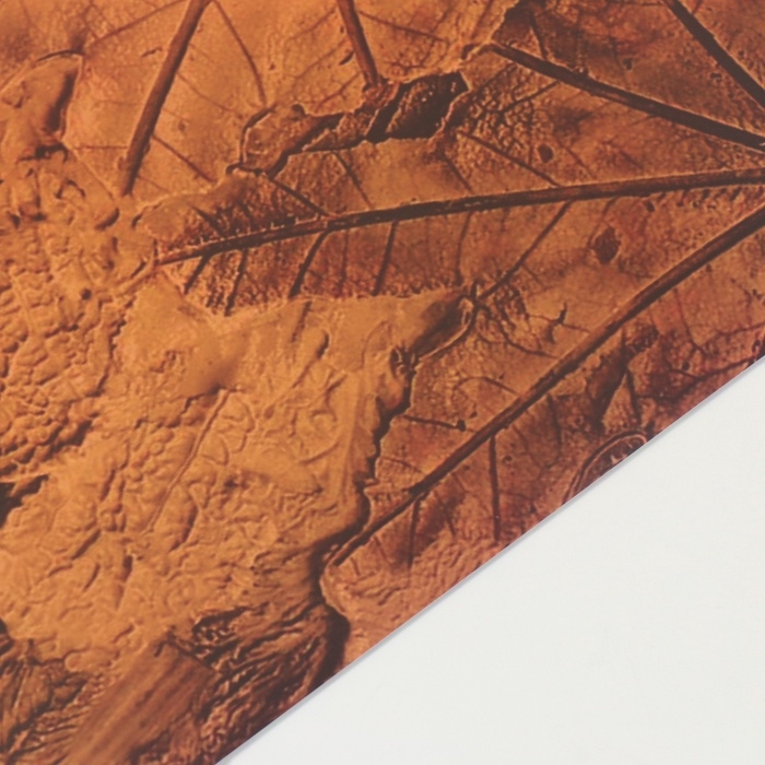 Фотофон двусторонний картон плотность 350 гр "Листья отпечатки" 50х50 см