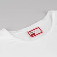 Нашивка &laquo;Вишенки&raquo;, 5.5&times;3.2 см, 10 шт., красная