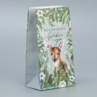 Пакет подарочный без ручек &laquo;Волшебного Нового года&raquo;, 10&times;19.5&times;7 см