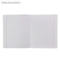 Тетрадь 18 листoв клетка &laquo;Великолепная пятёрка&raquo;, бумажная обложка, МИКС