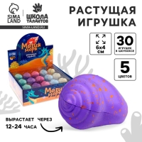 Растущие игрушки &laquo;Магия моря&raquo;, МИКС