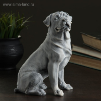 Сувенир "Ротвейлер (большой)" 19,5см