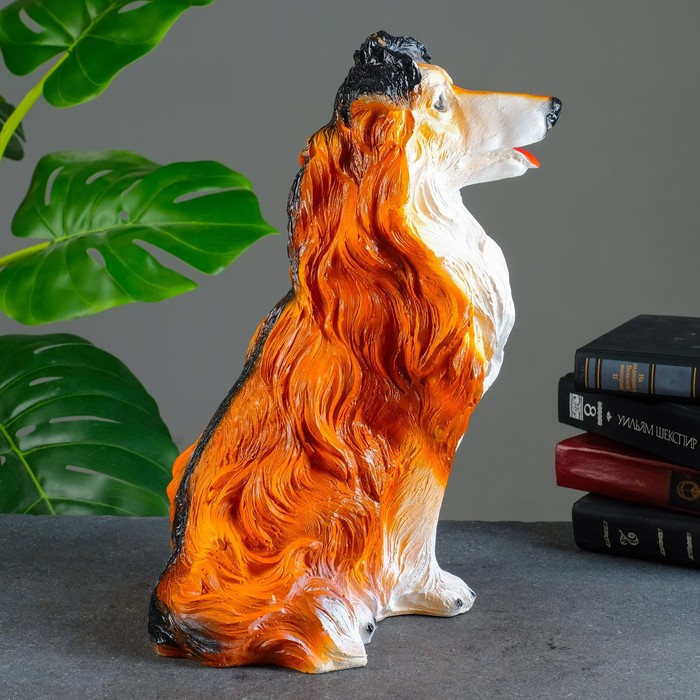 Копилка для денег &laquo;Колли&raquo;, гипс, 38&times;28&times;20 см