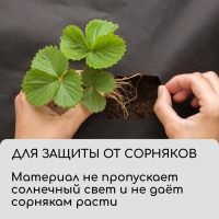 Материал для ландшафтных работ, 5 &times; 1,6 м, плотность 120 г/м&sup2;, спанбонд с УФ-стабилизатором, чёрный, Greengo, Эконом 30%