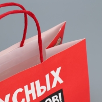 Пакет подарочный новогодний крафтовый &laquo;Праздники&raquo;, 22 х 22 х 11 см, Новый год