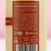 Гель для душа, наслаждение и очищение, 300 мл, аромат тыквенный капучино, Новый Год