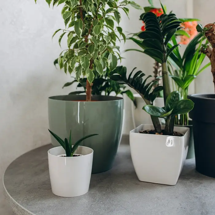 Кашпо для цветов, d=10 см, 0.5 л, пластик, бежевое