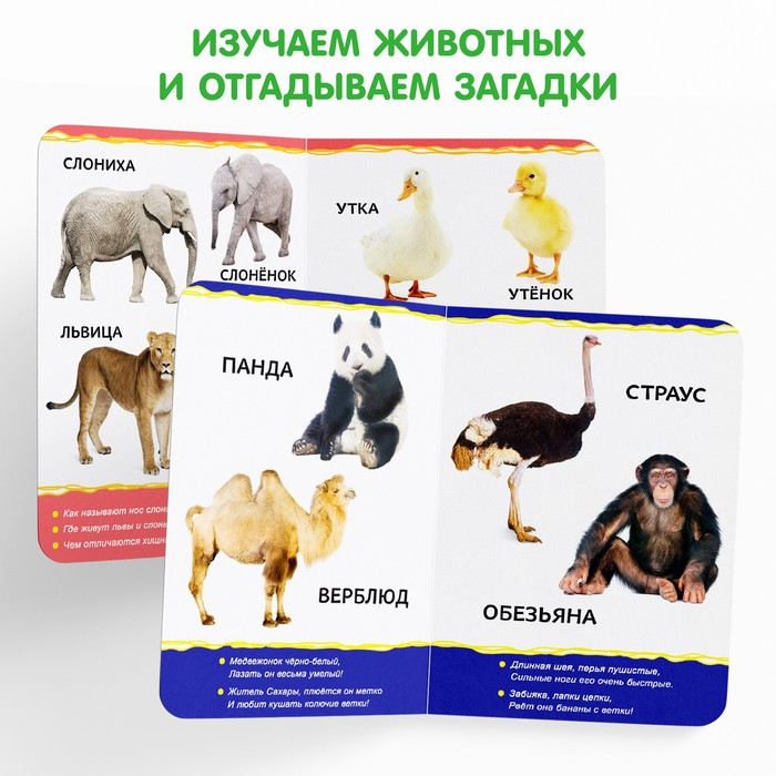 Книги картонные набор &laquo;Для малышей&raquo; № 1, 4 шт., 10 стр.