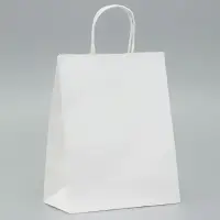 Пакет крафт без печати, белый, круглая ручка 22&times;12&times;28 см