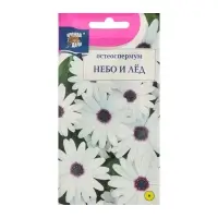 Семена цветов Остеоспермум "Небо и Лёд". 0,1 г