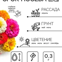 Семена цветов Цинния "Калифорнийские гиганты" смесь, 0,3 г