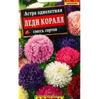 Семена цветов Астра Леди Коралл, смесь сортов , Ц/П,25 шт.