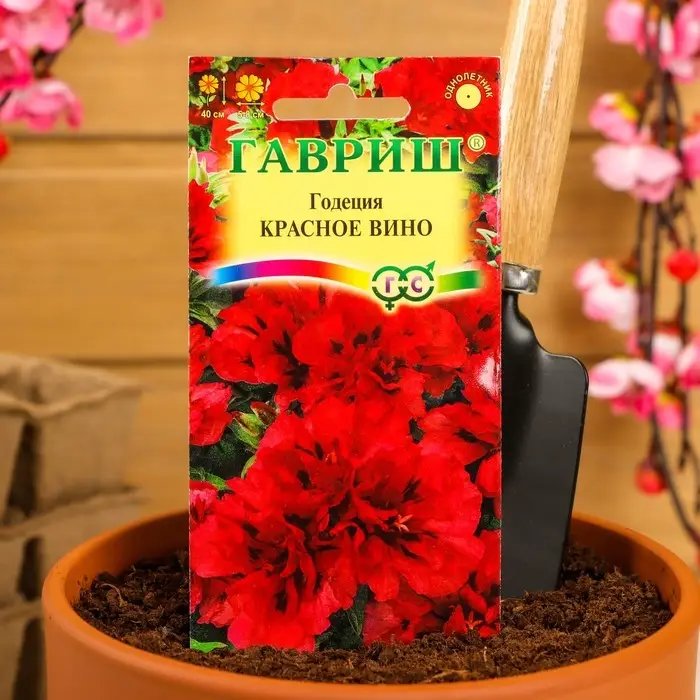 Семена цветов Годеция махровая "Красное вино", ц/п,  0,05 г