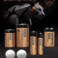 Весы напольные электронные PWS 1857DGF