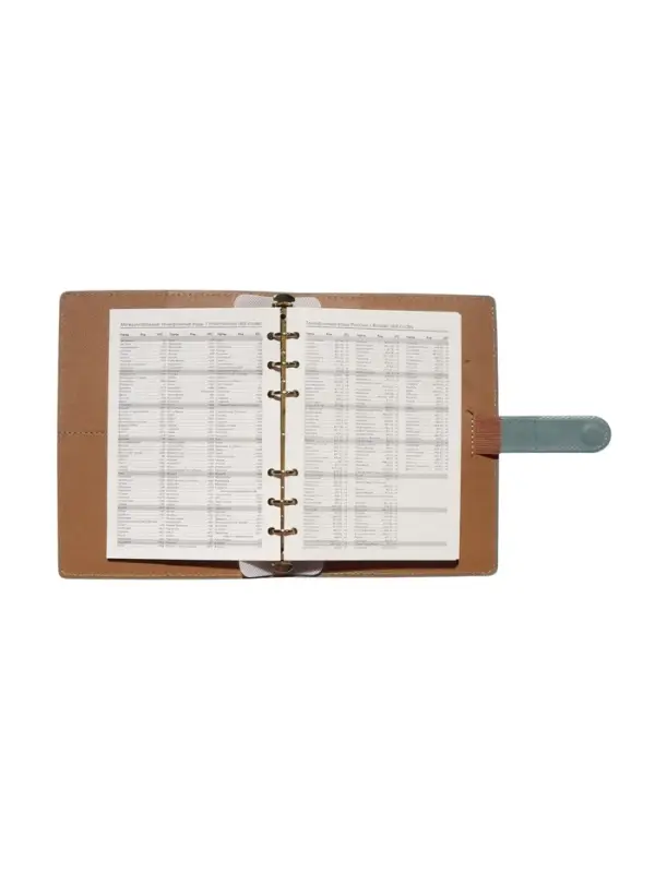 Органайзер на кольцах, C6, с хлястиком, 80л, линия, к/зам, Зеленый