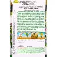 Семена цветов Экзакум (Персидская фиалка) Королева марина  (драже) , Ц/П,4 шт.