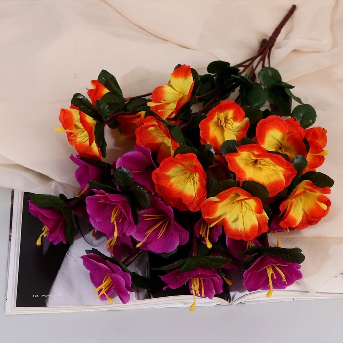 Букет Букет "Ахименес Тереза" 5х33 см, микс