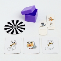 Набор волшебника &laquo;Факультет Дружных&raquo;, 6 фокусов, инструкция в комплекте