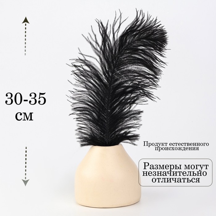 Перо для декора, размер: 30-35 см, цвет чёрный