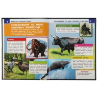 Энциклопедия А4 с дополненной реальностью &laquo;Животные красной книги 4D&raquo;